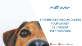 6 techniques insoupçonnées pour gagner de l’argent avec son chien